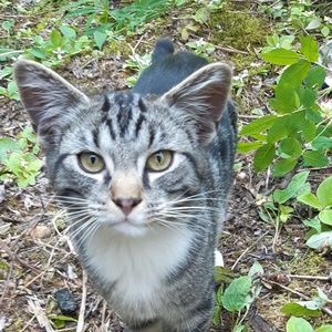 Meet your Posher, Isaac